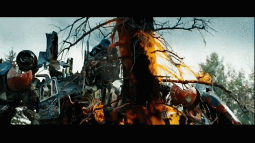 Transformers Movie Tree Fire