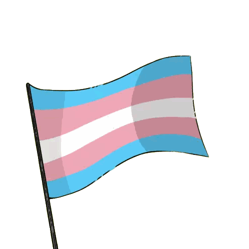 Transgender Flag Flying