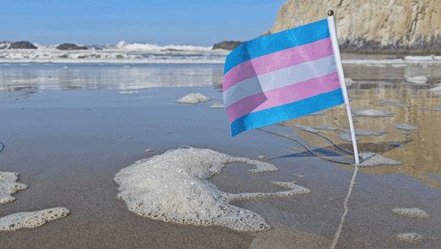 Transgender Flag On Beach Near Water GIF