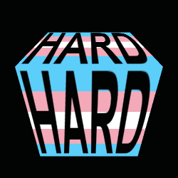 Transgender Flag Saying Hard