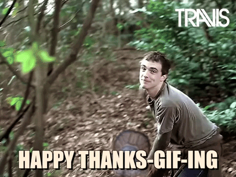 Travis Flying Turkey Meme GIF