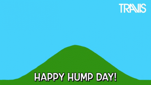 Travis Morning Sun Happy Hump Day Meme GIF