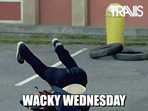 Travis Wacky Wednesday Happy Hump Day Meme GIF