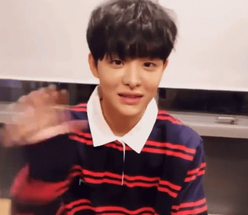 Treasure Member Wave Hand GIF