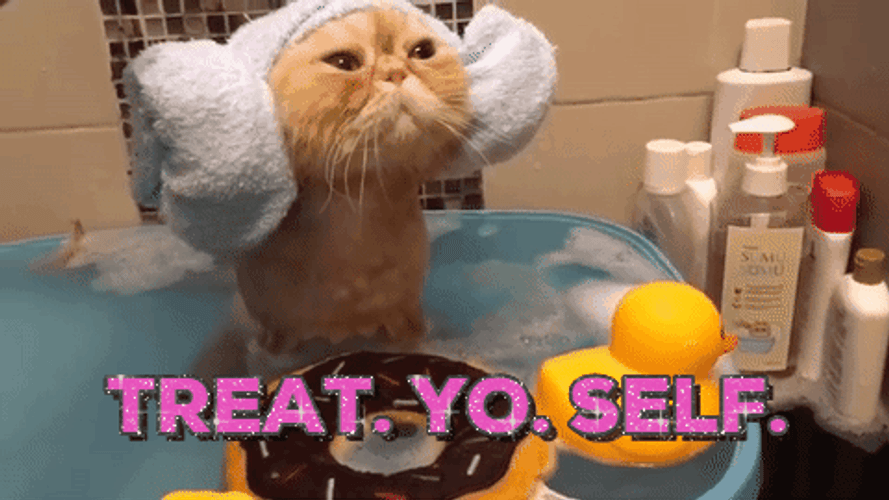Treat Yo Self Cute Cat Bath GIF