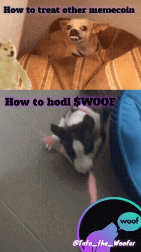 Treating And Holding $Woof Meme Coin GIF