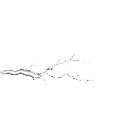 Tree Branch with Lightning