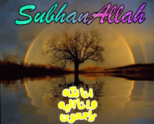 Tree in Lake With Subhan Allah