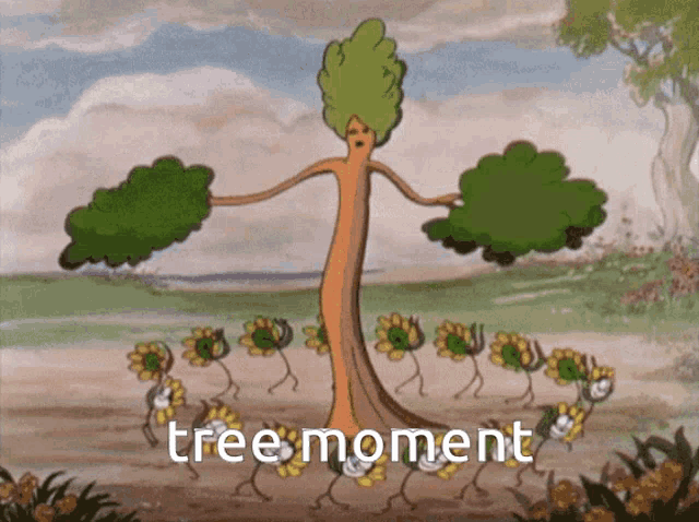 Tree Moment Tree Gif GIF