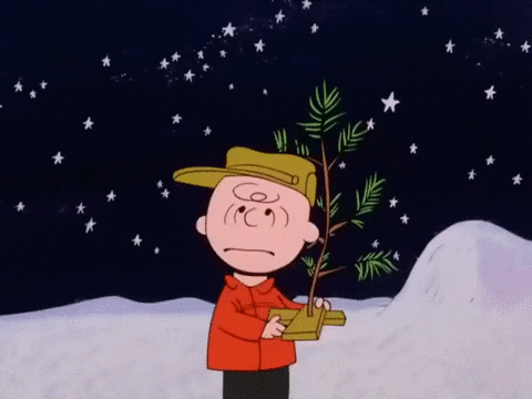 Tree Planting In Happy Thanksgiving Charlie Brown GIF
