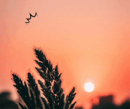Tree Saying Good Morning Honey GIF