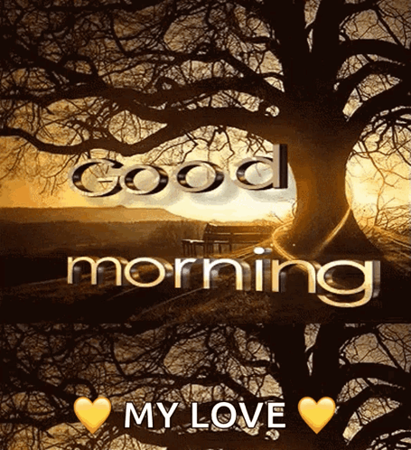Tree Saying Good Morning My Love GIF