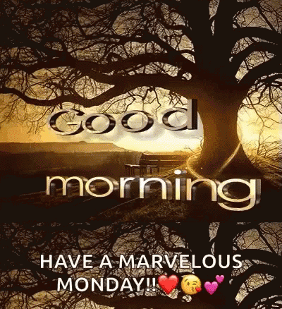 Tree Sunset Have A Marvelous Monday GIF