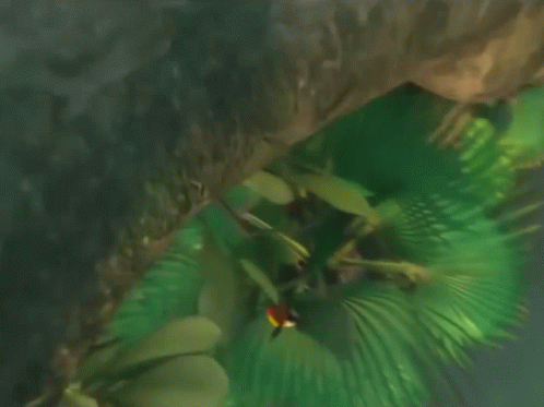 Tree With Come On Wake Up Now GIF