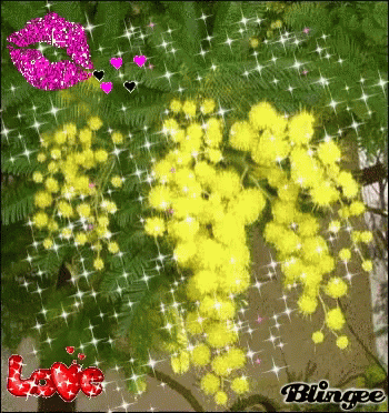 Tree With Yellow Flowers And Red Love GIF