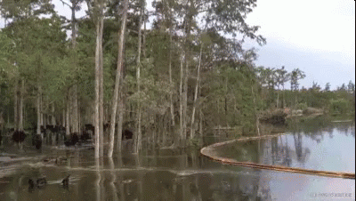 Trees Cutting In Swamp GIF