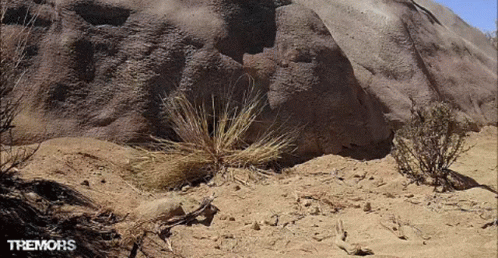 Tremors Graboid Tentacles Emerging From Sand GIF