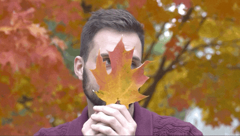 Trey Kennedy Moves Down Fall Leaf GIF