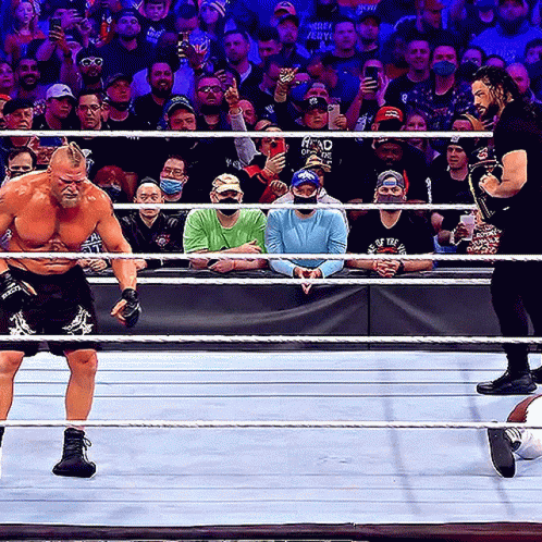 Tribal Chief Roman Reign Knock Down Brock Lesnar GIF