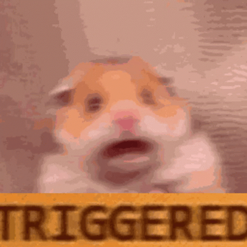 Triggered Cute Hamster GIF