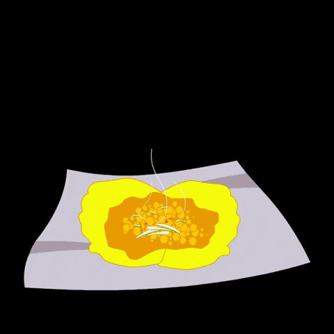 Trinidad And Tobago Corn Food GIF