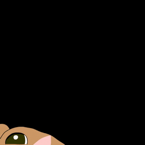 Trinidad And Tobago Dog GIF