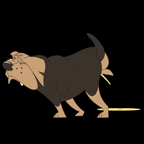 Trinidad And Tobago Peeing Dog GIF