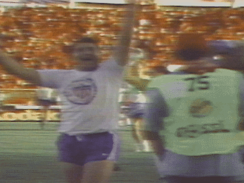 Trinidad And Tobago Victory GIF