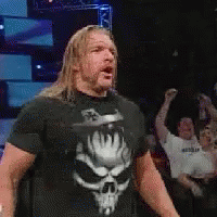 Triple H 200 X 200 Gif GIF