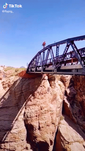 Triple Lindy Bridge Somersault Dive GIF
