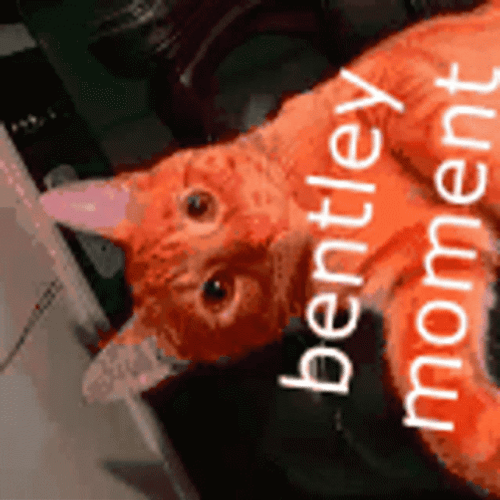 Triple Lindy GIF
