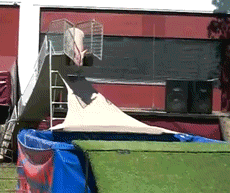 Triple Lindy Jumping Pig GIF