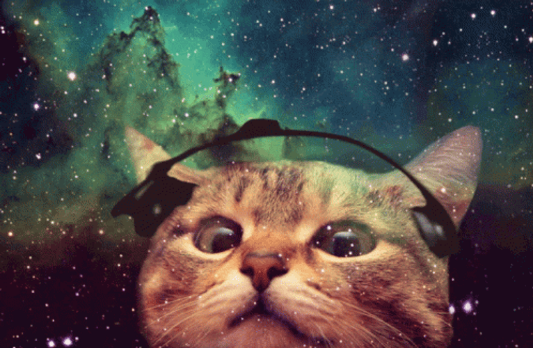 Trippy Cat Vibing In Universe GIF