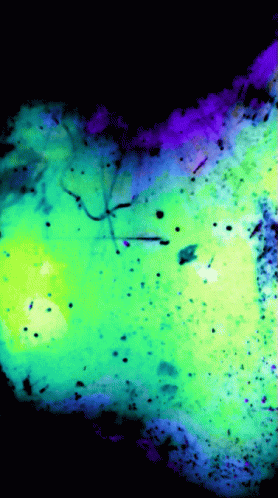 Trippy Dope Entangle Infinite GIF