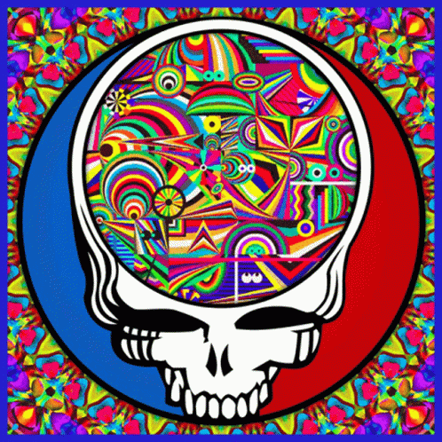 Trippy Dope Steal Your Face Skull GIF