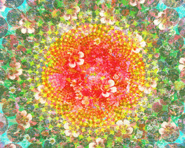 Trippy Tumblr Flower Artwork GIF