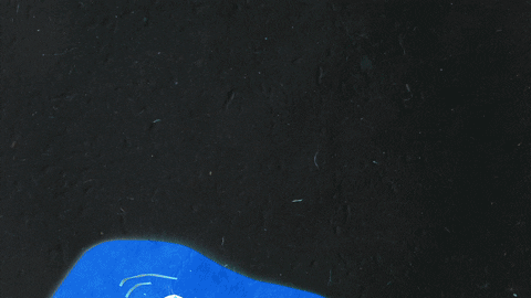 Troodon Dinosaur Sprint GIF