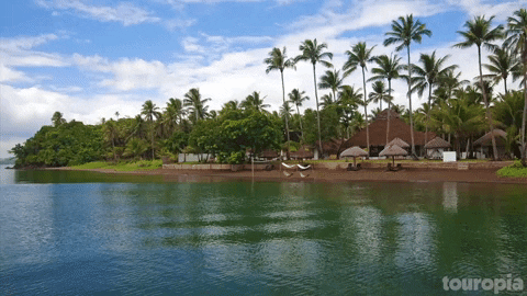 Tropical Beach Philippines Donsol Bicol GIF