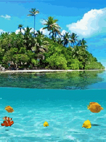 Tropical Island with Palm Trees and Fish