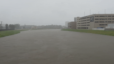 Tropical Storm Aftermath Flooded Street GIF