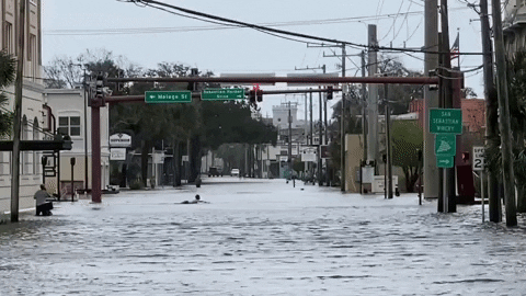 Tropical Storm Funny Swimming In Flood GIF
