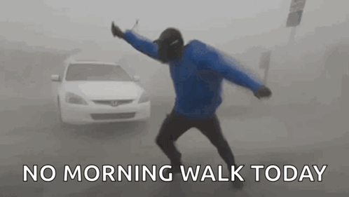 Tropical Storm No Morning Walk Meme GIF
