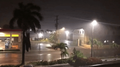 Tropical Storm Strong Winds Rain Blowing GIF
