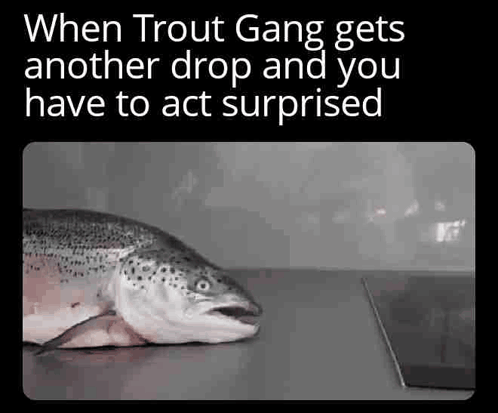 Troutgangosrs Winterosrs Trout Gang Wintertrouts Troutbingo Troutgang GIF