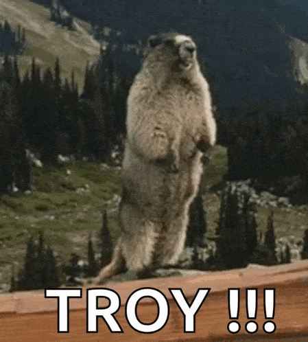 Troy Gopher Gif GIF