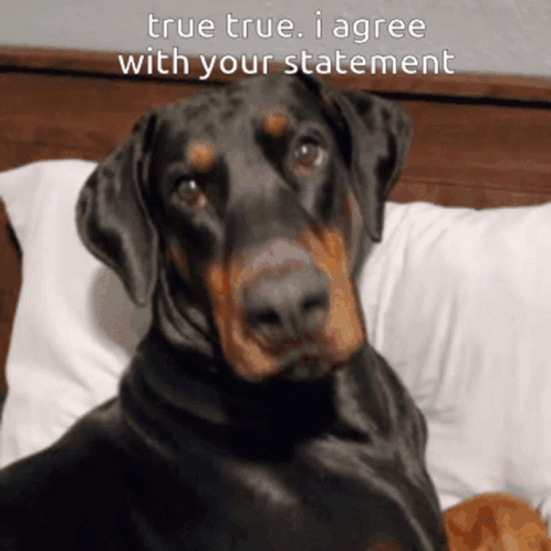 True 498 X 498 Gif GIF