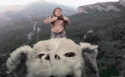 Truffle Shuffle 402 X 250 Gif GIF
