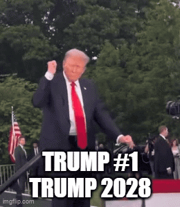 Trump 1 Trump Number 1 Gif GIF