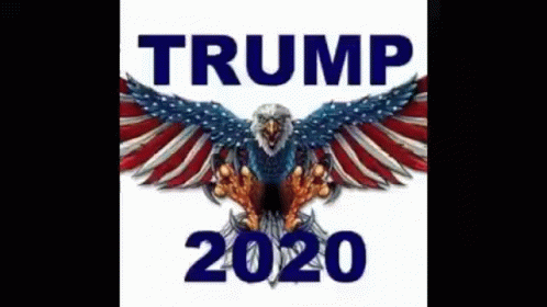 Trump 2020 Eagle American Flag Poster