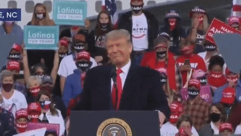 Trump 2024 Come On Looks Back GIF